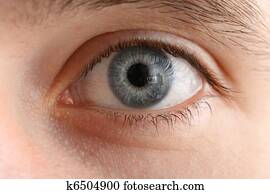 Human eye macro close-up Human eye macro close-up