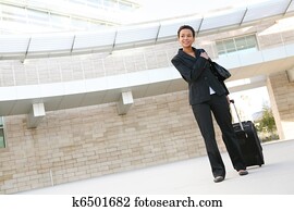 mujer de negocios, viajar