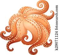 pulpo