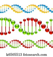 Seamless DNA strands Seamless DNA strands