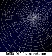 Spider web Spider web