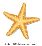 Starfish Starfish