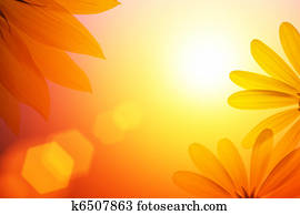 Sunshine background with sunflower details. Sunshine background with sunflower details.