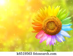 Colors Colors
