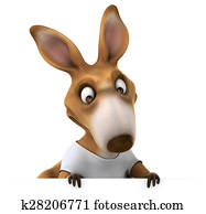 Fun kangaroo Fun kangaroo