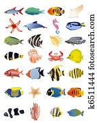 marinetiere marinetiere
