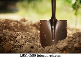 Shovel in soil