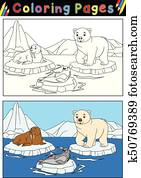 Arctic animals for coloring book Arctic animals for coloring book