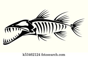 barracuda, esqueleto