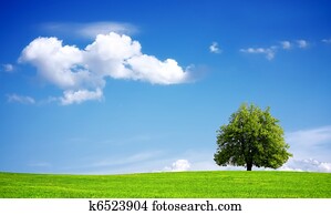 Environment Environment