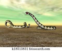 Titanoboa Titanoboa