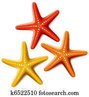 שלושה, כוכבי ים, בלבן