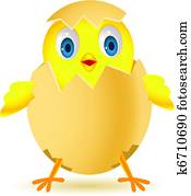 Chicken in egg shell Chicken in egg shell