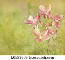 Flower Garden Digital Painting Background Flower Garden Digital Painting Background