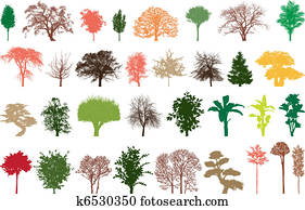 trees, colour trees, colour