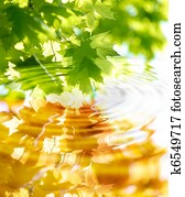 a, mudança, de, estações