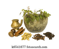 Ayurveda natural health Ayurveda natural health