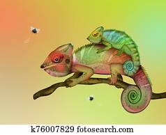 chameleons and flies chameleons and flies