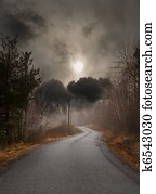 Country road in autumn