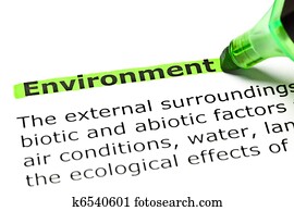 'Environment' highlighted in green