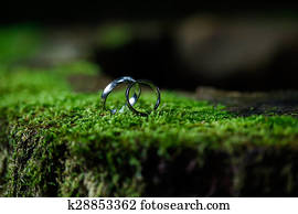Wedding rings Wedding rings