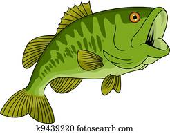 Bass fish