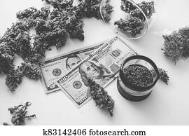 cannabis, naudas summas, dusmīgs, market., balts, background., cannabis, pa, economics., sativa, medicīnas students, health.