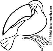 cartoon toucan for coloring book