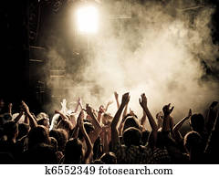 Concert crowd