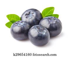 Fresh blueberry Fresh blueberry