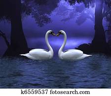 Swan Scene at Evening Swan Scene at Evening