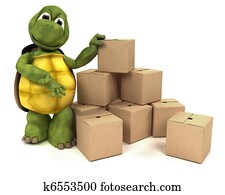 Tortoise with boxes for shipping Tortoise with boxes for shipping