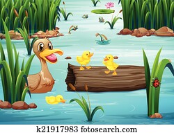 a, teich, mit, tiere a, teich, mit, tiere