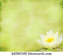 Green floral background Green floral background