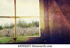 Old window looking out to apple orchard
