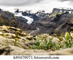 Stunning shot at Eyjafjallajokull area in Iceland Stunning shot at Eyjafjallajokull area in Iceland