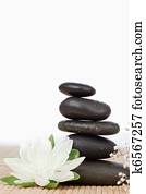 White lotus blossom with a black stones stack 