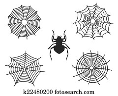 עכביש, הרוויח