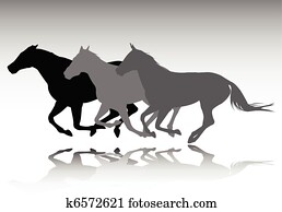 cavalos selvagens, executando