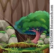 Forest Forest