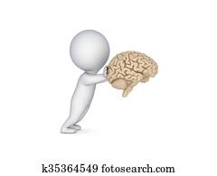Human brain isolated on white. Human brain isolated on white.