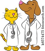 katz, und, hund, haustier, doktoren katz, und, hund, haustier, doktoren