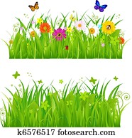 דשא ירוק, עם, פרחים, ו, חרקים