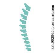 עמוד שדרה, וקטור, איקון