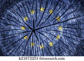 flag of European Union