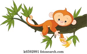 macaco bebê, ligado, um, árvore