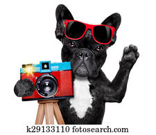 photographer dog camera photographer dog camera