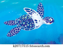Sea turtle Sea turtle
