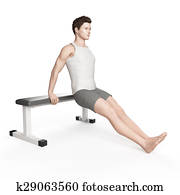 workout - bench dip workout - bench dip