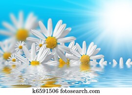 קפוץ פרחים, רקע